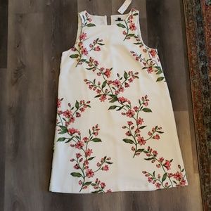 Ann Taylor dress